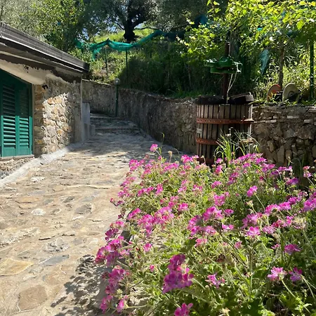 Alfano Casa vacanze Ascea