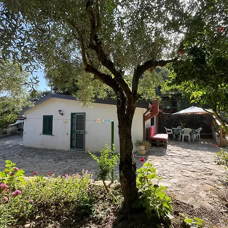 Alfano Casa vacanze Ascea